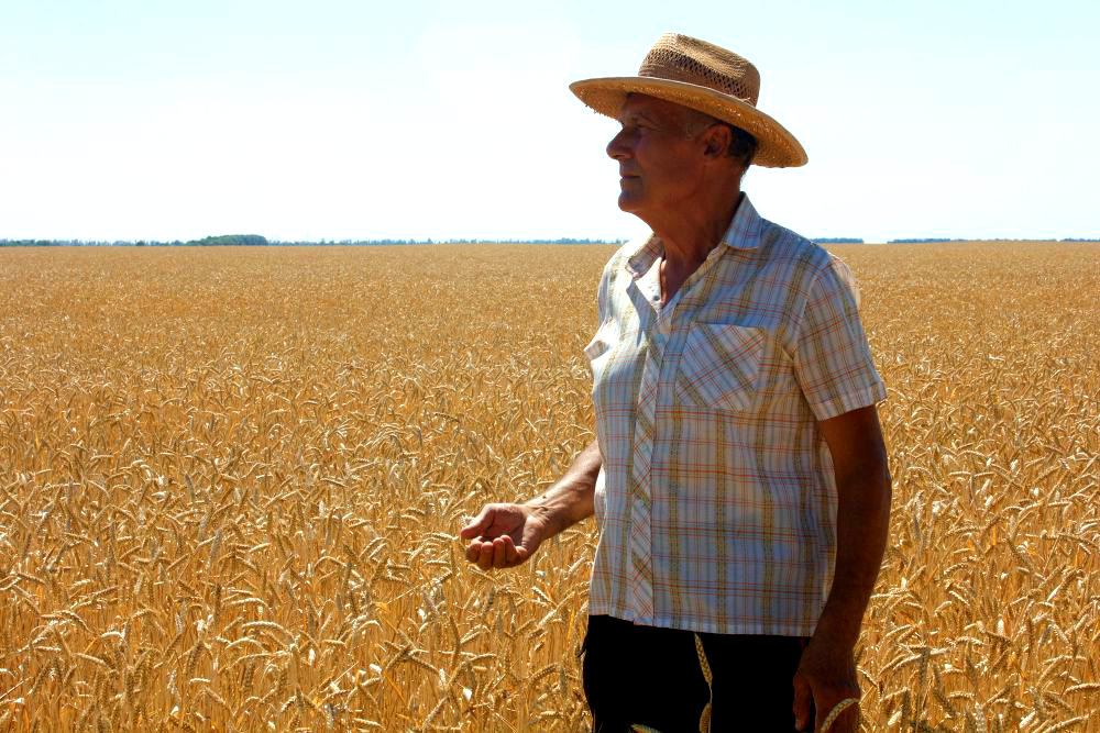 Saiba tudo sobre a aposentadoria rural